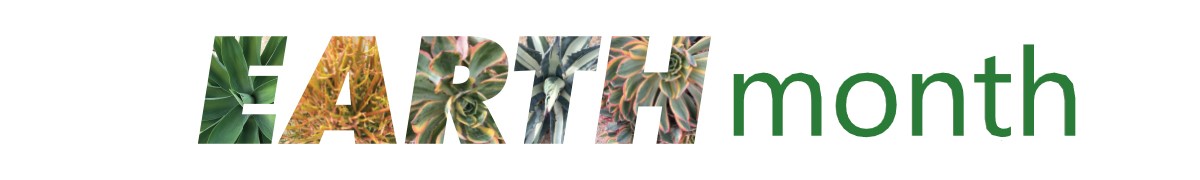 Page banner, decorative page element