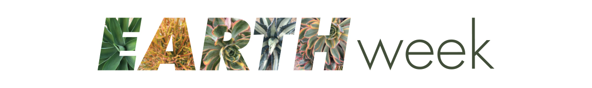 Page banner, decorative page element